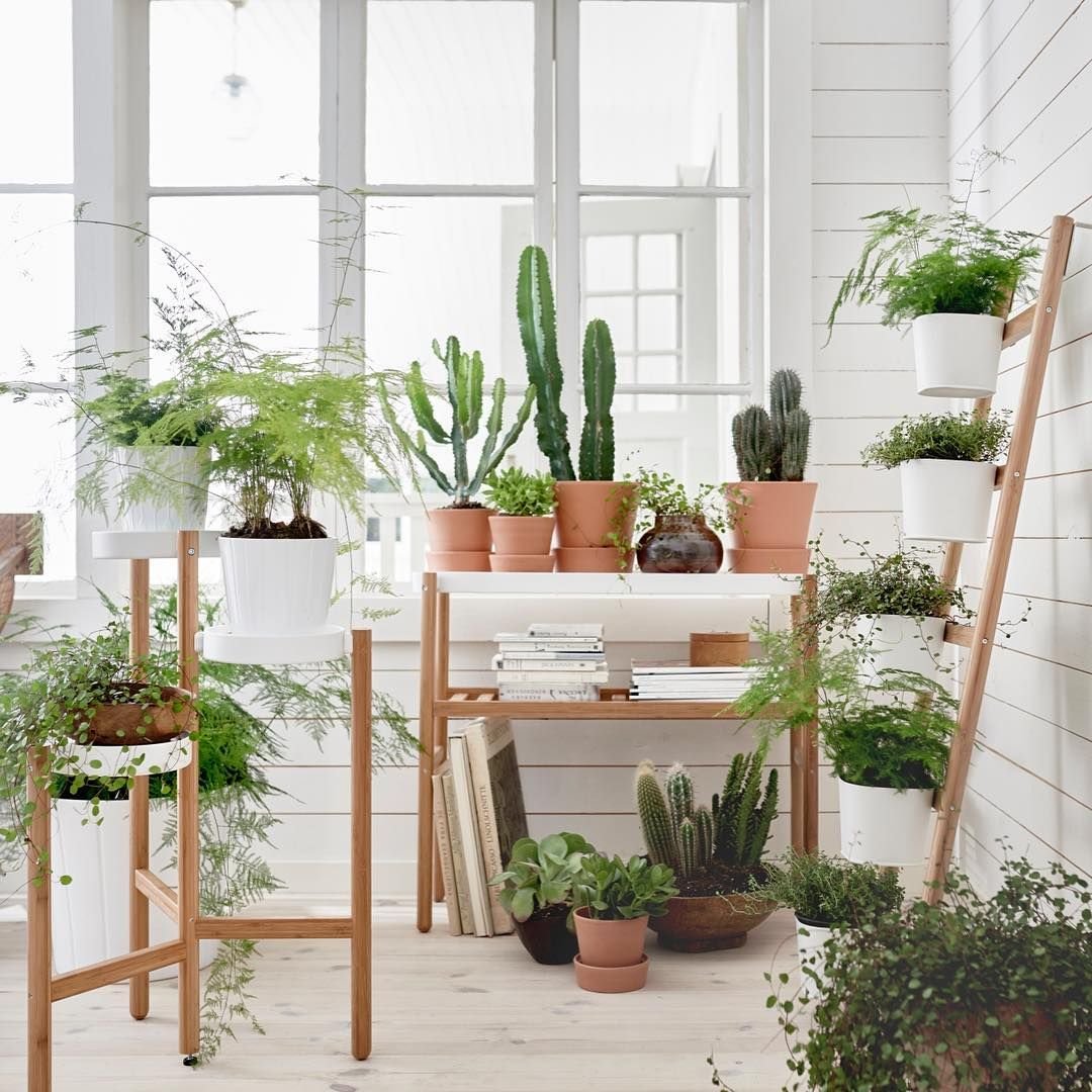 1685708714_en-idei-club-p-small-indoor-garden-dizain-pinterest-77