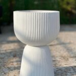 گلدان مارانتا پایه دار