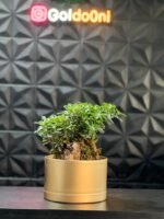 گلدون پلیمری بنسای کد 25-153 - Image 4