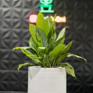 گلدان پلی اتیلن استوانه ای آوین