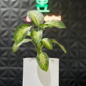 گلدان پلی اتیلن استوانه ای لیانا