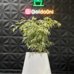 گلدان پلی اتیلن استوانه ای ملورین