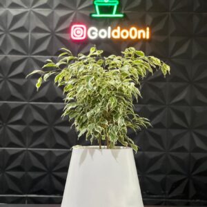 گلدان پلی اتیلن استوانه ای ملورین