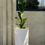 گلدان پلی اتیلن استوانه ای گاتا