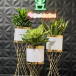 استند پیچ به همراه گلدان فلزی الماس