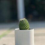 گلدان پلیمری استوانه مدل 103/10 مهرنی