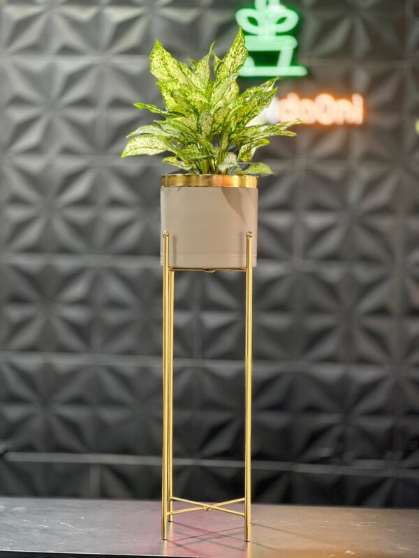 استند فلزی فورتیک 30-45-60 به همراه گلدان پلیمری لبه طلایی قطر 20 - Image 17