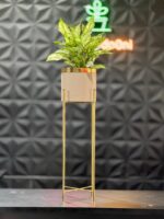 استند فلزی فورتیک 30-45-60 به همراه گلدان پلیمری لبه طلایی قطر 20 - Image 16