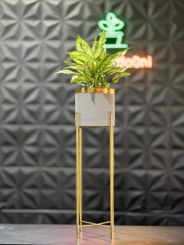 استند فلزی فورتیک 30-45-60 به همراه گلدان پلیمری لبه طلایی قطر 20 - Image 14