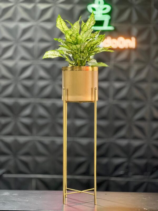 استند فلزی فورتیک 30-45-60 به همراه گلدان پلیمری لبه طلایی قطر 20 - Image 12