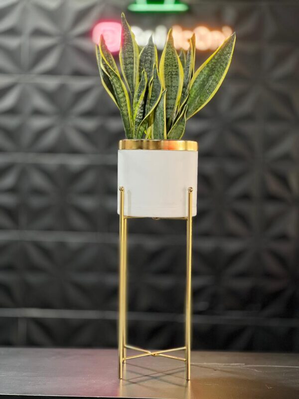 استند فلزی فورتیک 30-45-60 به همراه گلدان پلیمری لبه طلایی قطر 20 - Image 10