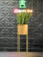 استند فلزی فورتیک 30-45-60 به همراه گلدان پلیمری لبه طلایی قطر 20 - Image 9