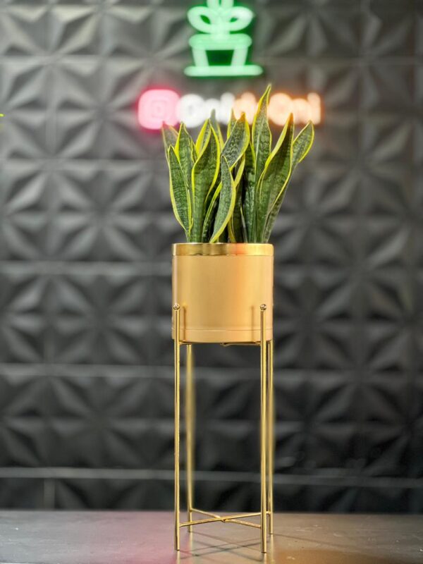 استند فلزی فورتیک 30-45-60 به همراه گلدان پلیمری لبه طلایی قطر 20 - Image 9