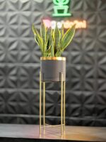 استند فلزی فورتیک 30-45-60 به همراه گلدان پلیمری لبه طلایی قطر 20 - Image 8