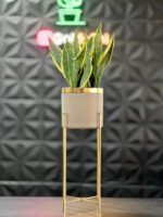 استند فلزی فورتیک 30-45-60 به همراه گلدان پلیمری لبه طلایی قطر 20 - Image 7