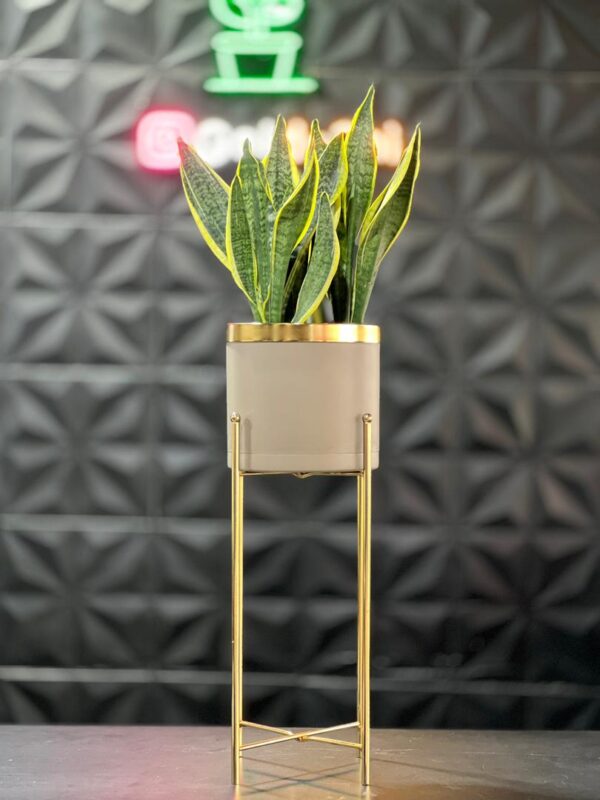 استند فلزی فورتیک 30-45-60 به همراه گلدان پلیمری لبه طلایی قطر 20 - Image 7