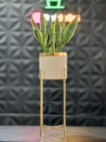 استند فلزی فورتیک 30-45-60 به همراه گلدان پلیمری لبه طلایی قطر 20 - Image 6