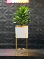 استند فلزی فورتیک 30-45-60 به همراه گلدان پلیمری لبه طلایی قطر 20