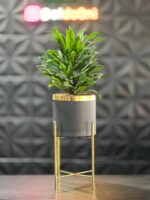 استند فلزی فورتیک 30-45-60 به همراه گلدان پلیمری لبه طلایی قطر 20 - Image 3