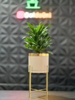 استند فلزی فورتیک 30-45-60 به همراه گلدان پلیمری لبه طلایی قطر 20 - Image 4