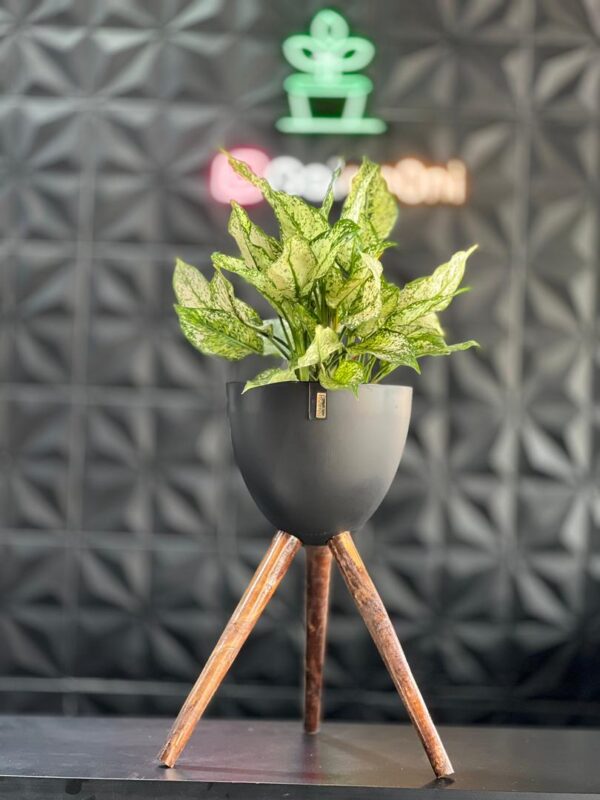 گلدان پلیمری پایه دار - Image 2