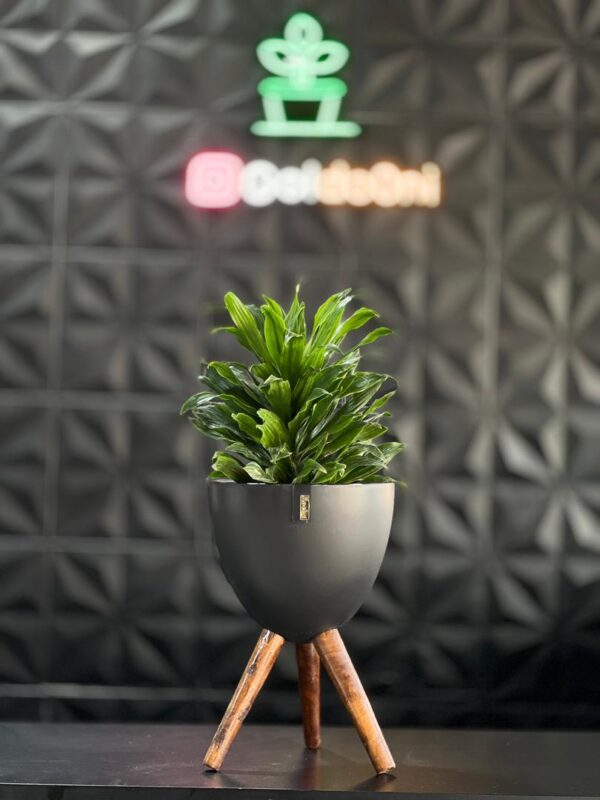 گلدان پلیمری پایه دار - Image 5