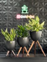 ست گلدان پلیمری پایه دار - Image 2