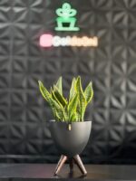 گلدان پلیمری پایه دار - Image 8