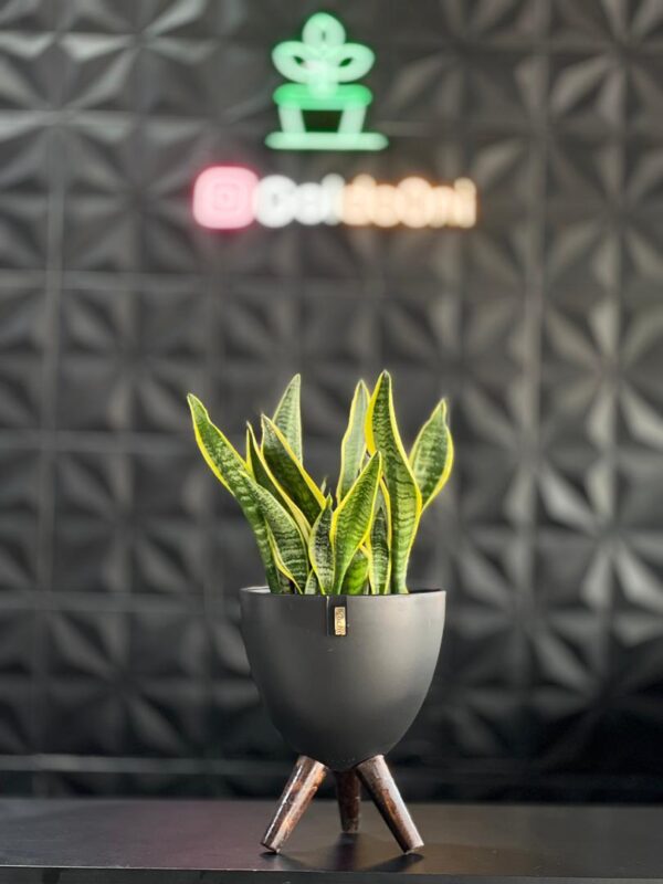 گلدان پلیمری پایه دار - Image 8