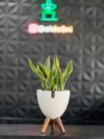 گلدان پلیمری پایه دار - Image 7