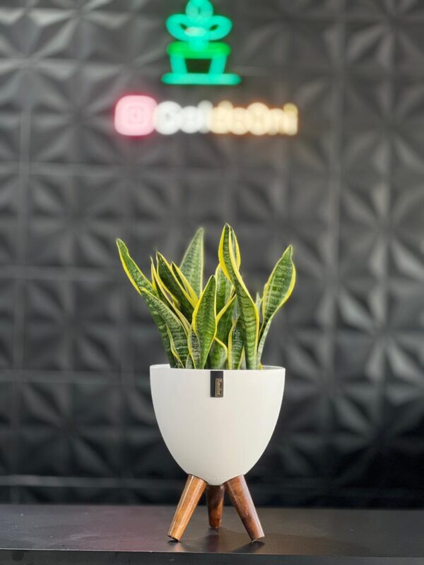 گلدان پلیمری پایه دار - Image 7