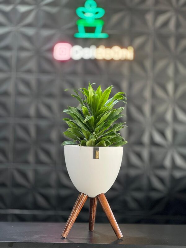 گلدان پلیمری پایه دار - Image 4