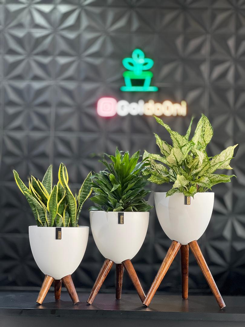 IMG-20251007-WA0011 ست گلدان پلیمری پایه دار - Image 1