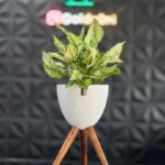 گلدان پلیمری پایه دار