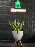 گلدان پلیمری پایه دار - Image 9