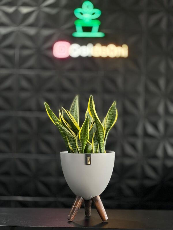 گلدان پلیمری پایه دار - Image 9