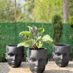 گلدان فایبر گلاس مدل رخ دختر