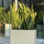 گلدان پلی اتیلن مدل باکس