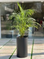 گلدان استوانه بلند پلیمری کد 123/35 - Image 5