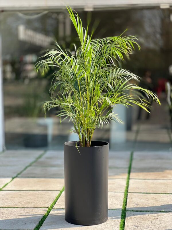 گلدان استوانه بلند پلیمری کد 123/35 - Image 5