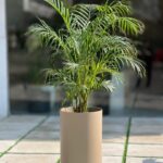 گلدان استوانه بلند پلیمری کد 123/35