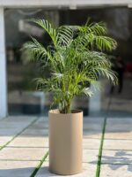 گلدان استوانه بلند پلیمری کد 123/35