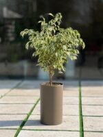 گلدان استوانه بلند پلیمری کد 123/25 - Image 3