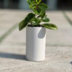 گلدان استوانه بلند پلیمری کد 123/10