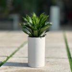 گلدان استوانه بلند پلیمری کد 123/15