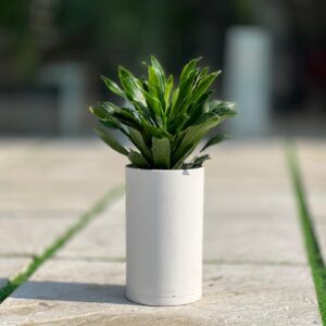 گلدان استوانه بلند پلیمری کد 123/15