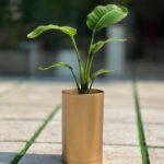 گلدان استوانه بلند پلیمری کد 123/20