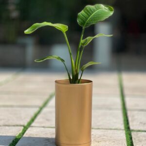 گلدان استوانه بلند پلیمری کد 123/20