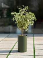 گلدان استوانه بلند پلیمری کد 123/25