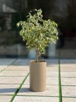 گلدان استوانه بلند پلیمری کد 123/25 - Image 4